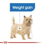 Royal Canin Light Weight Care (โรยัล คานิน) อาหารเปียกแบบโลฟ (เนื้อละเอียด) สุนัขโตทุกสายพันธุ์ ควบคุมน้ำหนัก - Image 2