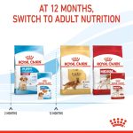 Royal Canin Medium Puppy Gravy (โรยัล คานิน) อาหารเปียกแบบซอง สำหรับลูกสุนัขพันธุ์กลาง อายุ 2-12 เดือน - Image 8
