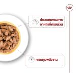 Royal Canin Mini Ageing 8+ Gravy 12 ซอง (โรยัล คานิน) อาหารเปียกแบบซอง สำหรับสุนัขสูงวัยพันธุ์เล็ก อายุ 8 ปีขึ้นไป - Image 3