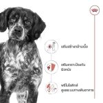 Royal Canin Medium Adult Gravy 10 ซอง (โรยัล คานิน) อาหารเปียกแบบซอง สำหรับสุนัขโตพันธุ์กลาง อายุ 1 - 10 ปี - Image 2