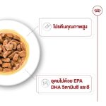 Royal Canin Medium Ageing 10+ Gravy (โรยัล คานิน) อาหารเปียกแบบซอง สำหรับสุนัขสูงวัยพันธุ์กลาง อายุ 10 ปีขึ้นไป - Image 7