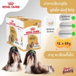 Royal Canin Shih Tzu Adult Loaf 12 ซอง (โรยัล คานิน) อาหารเปียกแบบโลฟ (เนื้อละเอียด) สุนัขโตพันธุ์ชิห์สุ