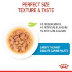 Royal Canin Mini Puppy Gravy 12 ซอง (โรยัล คานิน) อาหารเปียกแบบซอง สำหรับลูกสุนัขพันธุ์เล็ก อายุ 2-10 เดือน - Image 3