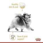 Royal Canin Pomeranian Adult Loaf 12 ซอง (โรยัล คานิน) อาหารเปียกแบบโลฟ (เนื้อละเอียด) สุนัขโตพันธุ์ปอมเมอเรเนียน - Image 2