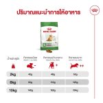 Royal Canin Mini Indoor Senior 8+ อาหารสุนัขสูงวัย พันธุ์เล็ก เลี้ยงในบ้าน อายุ 8 ปีขึ้นไป (โรยัล คานิน) - Image 4