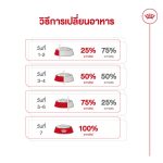 Royal Canin Mini Indoor Senior 8+ อาหารสุนัขสูงวัย พันธุ์เล็ก เลี้ยงในบ้าน อายุ 8 ปีขึ้นไป (โรยัล คานิน) - Image 5