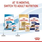 Royal Canin Maxi Puppy Gravy 10 ซอง (โรยัล คานิน) อาหารเปียกแบบซอง สำหรับลูกสุนัขพันธุ์ใหญ่ อายุ 2-15 เดือน - Image 8