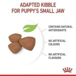 Royal Canin Mini Puppy 2kg อาหารเม็ดลูกสุนัข พันธุ์เล็ก 2-10 เดือน (โรยัล คานิน) - Image 2
