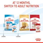 Royal Canin Medium Puppy Gravy 10 ซอง (โรยัล คานิน) อาหารเปียกแบบซอง สำหรับลูกสุนัขพันธุ์กลาง อายุ 2-12 เดือน - Image 8