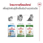 Royal Canin Mini Indoor Senior 8+ อาหารสุนัขสูงวัย พันธุ์เล็ก เลี้ยงในบ้าน อายุ 8 ปีขึ้นไป (โรยัล คานิน) - Image 7