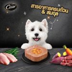 ซีซาร์ คราฟต์ Cesar Craft อาหารเปียกสุนัขโต 85g (1 ถาด) สูตรธรรมชาติ อาหารหมา เกรดซูเปอร์พรีเมียม - Image 3