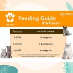 O3gold น้ำมันปลาเกรด Premium อาหารเสริมสัตว์เลี้ยง อาหารเสริมสุนัข อาหารเสริมแมว บำรุงขนสุนัข บำรุงขนแมว - Image 3