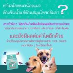 ตัวช่วยหน้าร้อน 💦🔥หน้าร้อนไม่น่ารักต่อสัตว์เลี้ยง กลัมภา สมุนไพรสำหรับสัตว์เลี้ยง ลดกลิ่นปาก ขนร่วง ทานน้ำได้มากขึ้น - Image 6