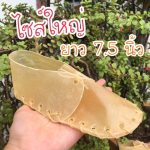 ขนมสุนัข รองเท้าหนังวัว สำหรับแทะเล่น ขัดฟันสุนัข - Image 4