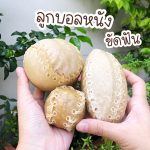 ลูกบอลสำหรับขัดฟัน ทำจากหนังวัว แทะเล่นได้ สนุก ขัดฟันสุนัข รักบี้ ขนมขัดฟันสุนัข - Image 5