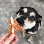 ขนมสุนัข 400 กรัม Dear Buddy สันในไก่อบแห้ง ครันชี่ กระดูกฉลาม ขนมขัดฟันสุนัข ขนมน้องหมา - Image 5