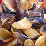 กีบวัว 500 กรัม คละไซส์ ขนมขัดฟันสำหรับสุนัข ลดการกัดแทะทำลายสิ่งของ ขัดฟันสำหรับสุนัข ขัดฟันน้องหมา - Image 4