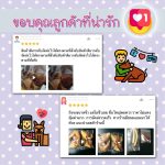 กีบวัว 500 กรัม คละไซส์ ขนมขัดฟันสำหรับสุนัข ลดการกัดแทะทำลายสิ่งของ ขัดฟันสำหรับสุนัข ขัดฟันน้องหมา - Image 6