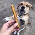 ขนมสุนัข ไก่พันครันชี่ 400 กรัม ครันชี่ขัดฟันพันด้วยไก่อบแห้งหอมๆ ขนมขัดฟันสุนัขที่มีประโยชน์ ขนมหมา ขนมสุนัข - Image 5