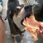 ขนมสุนัข Dear Buddy สันในไก่อบแห้ง 500 กรัม ไก่อบแห้งสุนัข ขนมขบเคี้ยวสำหรับสุนัข ขนมน้องหมา - Image 4