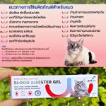 Petme Ferrotonic อาหารเสริมบำรุงเลือดแมว น้องแมวเป็นโรคไตทานได้ วิตามินบำรุงสำหรับแมว - Image 6