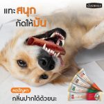 Goodies dental bar ดูแลช่องปากสุนัข ขนมขัดฟัน แทะได้นาน สุขภาพช่องปากสะอาด ลดคราบหินปูน - Image 5