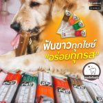 Goodies dental bar ดูแลช่องปากสุนัข ขนมขัดฟัน แทะได้นาน สุขภาพช่องปากสะอาด ลดคราบหินปูน - Image 6