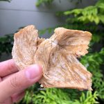 อกไก่อบแห้ง 200 กรัม ขนมสุนัข ขนมหมา ไก่อบแห้ง ไก่กรอบ ขนมหมา ขนมแมว เนื้อไก่อบแห้ง ไก่อบกรอบ ของว่างสำหรับสุนัข - Image 4