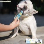 ราคาส่ง 15 หลอด Petme Plus Gel เพ็ทมี พลัส เจล 30 กรัม อาหารเสริมเพิ่มพลังงาน สำหรับสัตว์เลี้ยง - Image 4