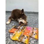 ขนมสุนัข Extra Treats ไม่ปรุงรส ไม่มีน้ำตาล เกลือ สารปรุงแต่งกลิ่น ขนมน้องหมา  ขนมหมา ขนมสำหรับสุนัข คุกกี้สุนัข - Image 3