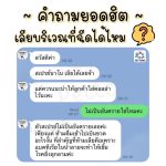 สเปรย์ดูแลผิวหนังสัตว์เลี้ยง ตรา Pethera - Image 2