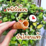 ขนมสุนัข ทองม้วนพันไก่ 6 ชิ้น - Image 3
