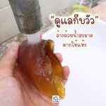 กีบวัว 200 กรัม ขนมสุนัข ขัดฟัน ขัดฟันสำหรับสุนัข ขนมขัดฟันจากธรรมชาติ - Image 4