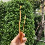 ขนมสุนัข สันในไก่กรอบ น้ำหนัก 200 กรัม - Image 4