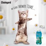 แชมพูอาบน้ำแมว Chaingard natural shampoo แชมพูแมว อุปกรณ์เลี้ยงแมว อุปกรณ์สัตว์เลี้ยงแมว แชมพูสำหรับลูกแมว แชมพูลูกแมว - Image 4