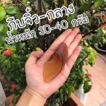 กีบวัว 200 กรัม ขนมสุนัข ขัดฟัน ขัดฟันสำหรับสุนัข ขนมขัดฟันจากธรรมชาติ - Image 5