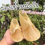 ขนมสุนัข รองเท้าหนังวัว สำหรับแทะเล่น ขัดฟันสุนัข