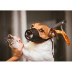 SLEEKY ตะกร้อครอบปากสุนัข ตะกร้อครอบปากแมว ตะกร้อครอบปากหมา ตระกร้อครอบปากสุนัข กันกัด คอล่า - Image 3