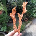 ไก่โรยงา 400 กรัม ขนมสุนัข สันในไก่อบแห้ง ไก่อบแห้งขนมสุนัข ขนมขบเคี้ยวสำหรับสุนัข สันในไก่อบแห้งสุนัข ขนมน้องหมา - Image 2