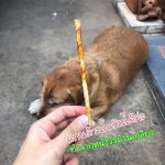 ขนมสุนัข มันชี่ลูกชิ้นรสตับและเนื้อ 6 ชิ้น ขนมขัดฟันสุนัข - Image 7