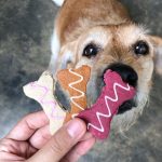 ขนมสุนัข คุกกี้อกไก่ 200 กรัม อกไก่อบแห้งแผ่นบาง กรุบๆ กรอบๆ หอม อร่อยดี มีประโยชน์