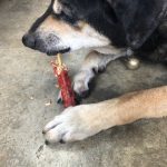 ขนมสุนัข มันชี่ลูกชิ้นรสตับและเนื้อ 6 ชิ้น ขนมขัดฟันสุนัข - Image 6