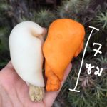 ขนมสุนัข ขนมขัดฟันสุนัข น่องไก่ 7 ซม. ขนมหมา ขัดฟันหมา ขัดฟันสุนัข กระดูกขัดฟัน - Image 4