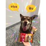 ขนมสุนัข Extra Treats ไม่ปรุงรส ไม่มีน้ำตาล เกลือ สารปรุงแต่งกลิ่น ขนมน้องหมา  ขนมหมา ขนมสำหรับสุนัข คุกกี้สุนัข - Image 6