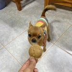 Maru Maru ขนมสุนัข รสตับ ไม่เติมแต่งรสชาติ สี กลิ่น ไม่เติมเกลือ น้ำตาล ใช้วัตถุดิบ Human grade ขนมก้นกลม - Image 6