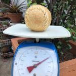 ลูกบอลสำหรับขัดฟัน ทำจากหนังวัว แทะเล่นได้ สนุก ขัดฟันสุนัข รักบี้ ขนมขัดฟันสุนัข - Image 6