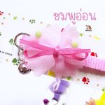 ปลอกคอ ปรับสายได้ถึง 29 ซม. สีสันสดใส - Image 3