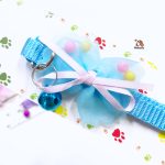 ปลอกคอ ปรับสายได้ถึง 29 ซม. สีสันสดใส - Image 6