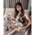 **ราคาส่งยกกล่อง** ล้อตใหม่ ขนมสุนัข Great titan snack ขนสวยสุขภาพดี โปรตีนย่อยง่าย บำรุงกระดูกและข้อต่อ - Image 5