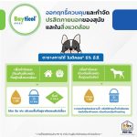 Bayticol 6% E.C. ไบติคอล 10 ซีซี จบปัญหาเห็บหมัด ทั้งตัวสัตว์และสิ่งแวดล้อม - Image 4